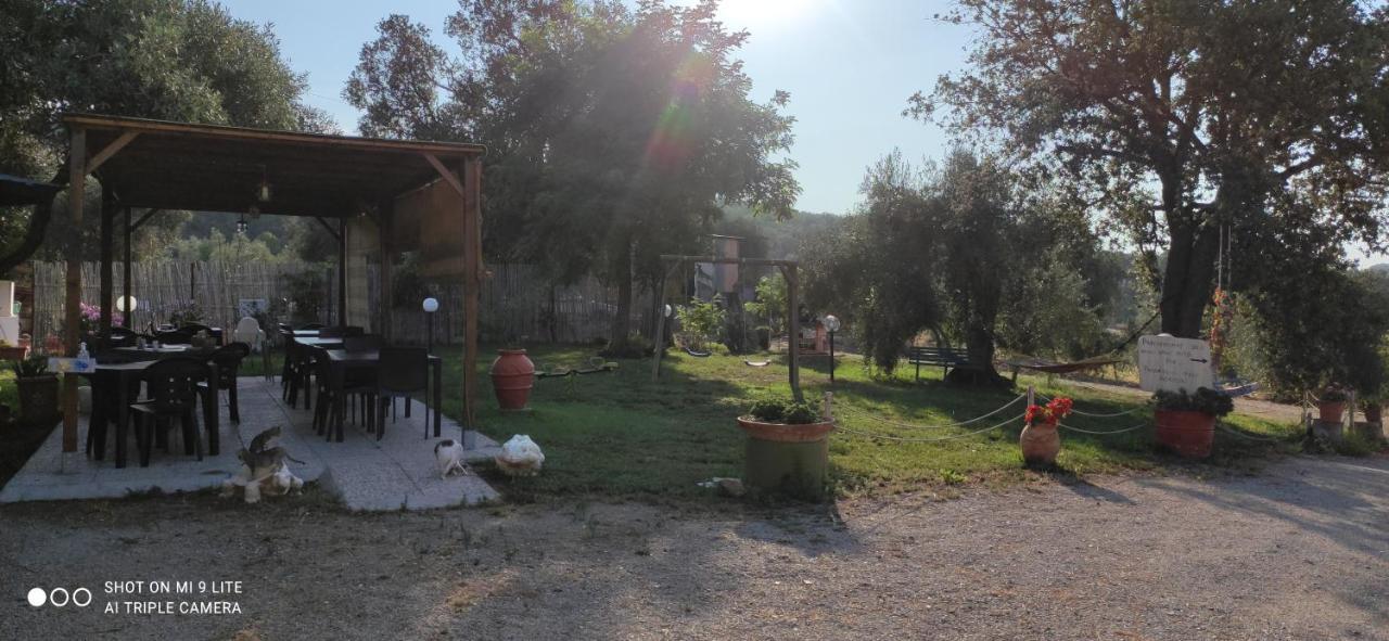 Agriturismo Poggio All'Olivo Follonica Kültér fotó
