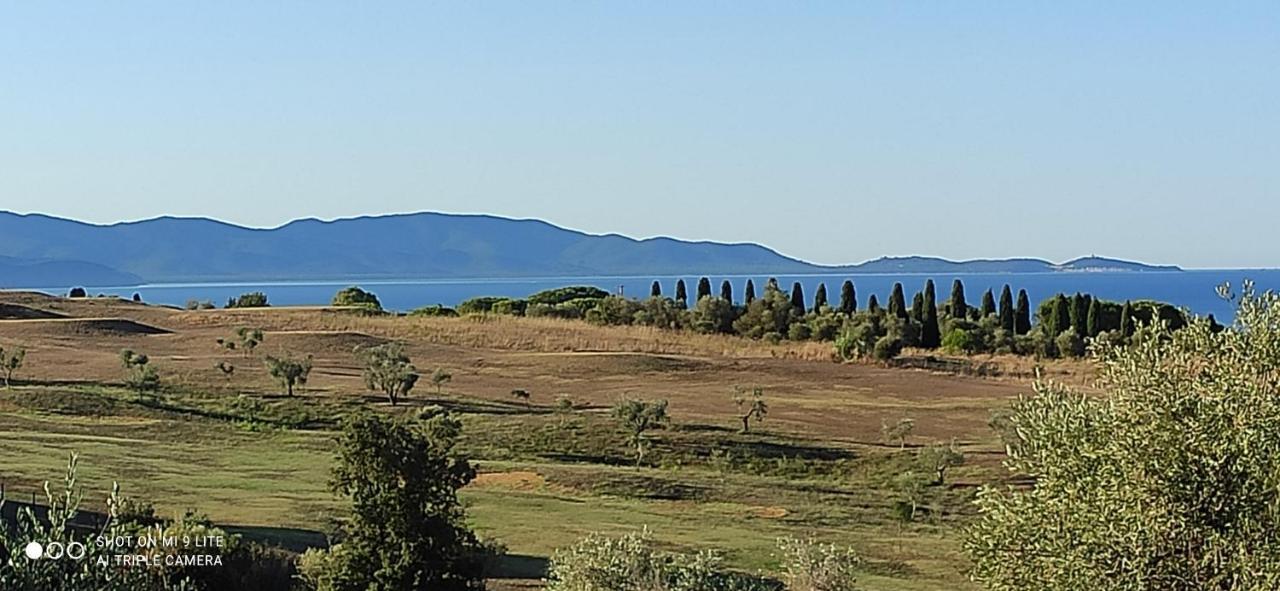Agriturismo Poggio All'Olivo Follonica Kültér fotó