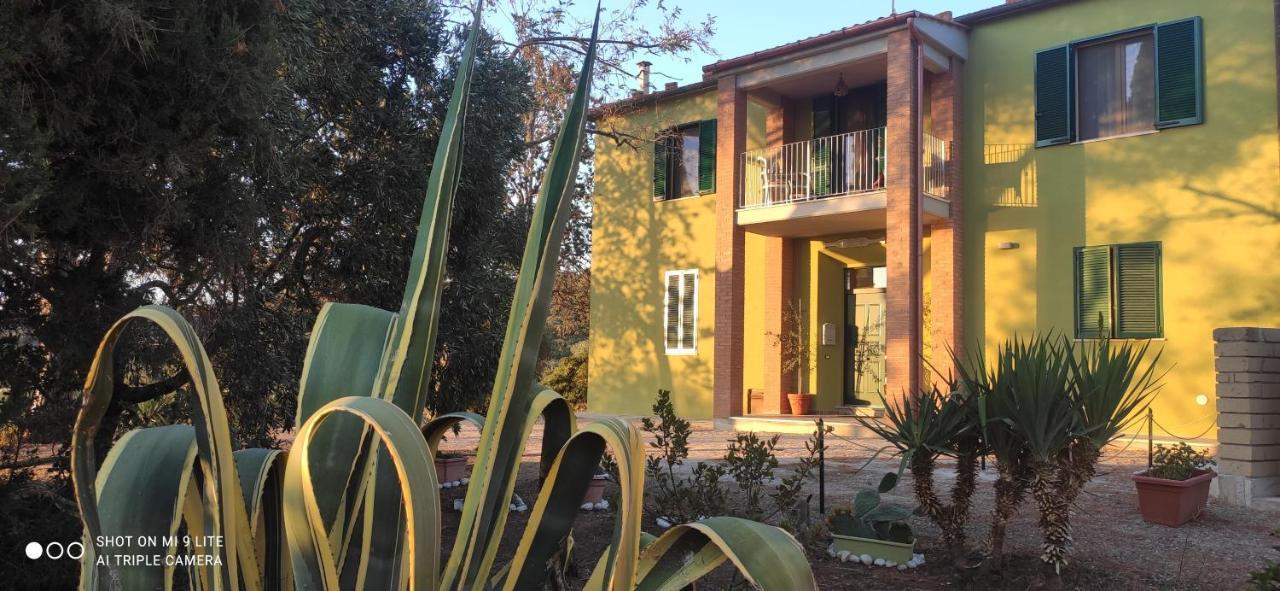 Agriturismo Poggio All'Olivo Follonica Kültér fotó