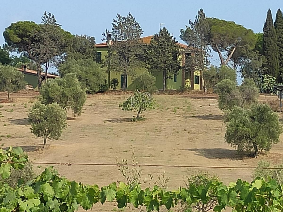 Agriturismo Poggio All'Olivo Follonica Kültér fotó