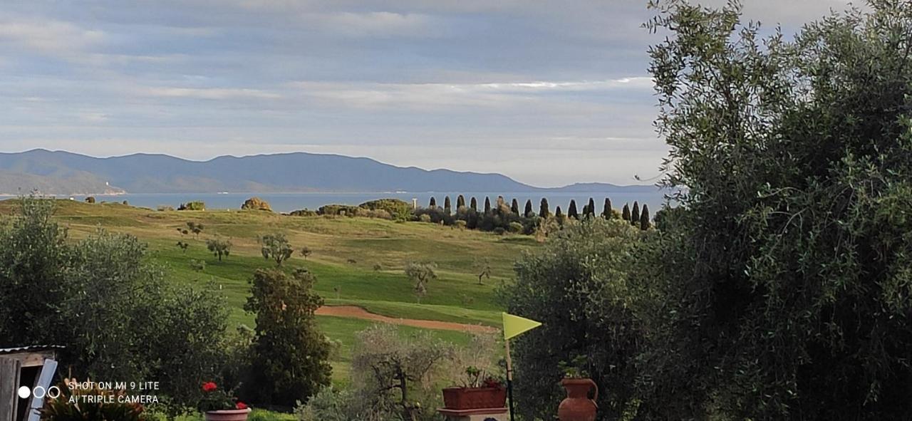 Agriturismo Poggio All'Olivo Follonica Kültér fotó