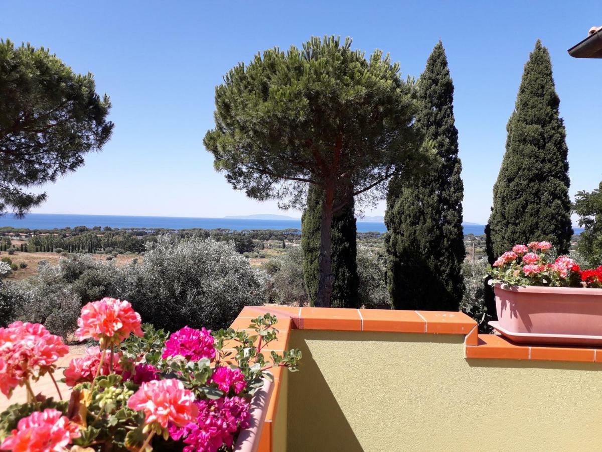 Agriturismo Poggio All'Olivo Follonica Kültér fotó