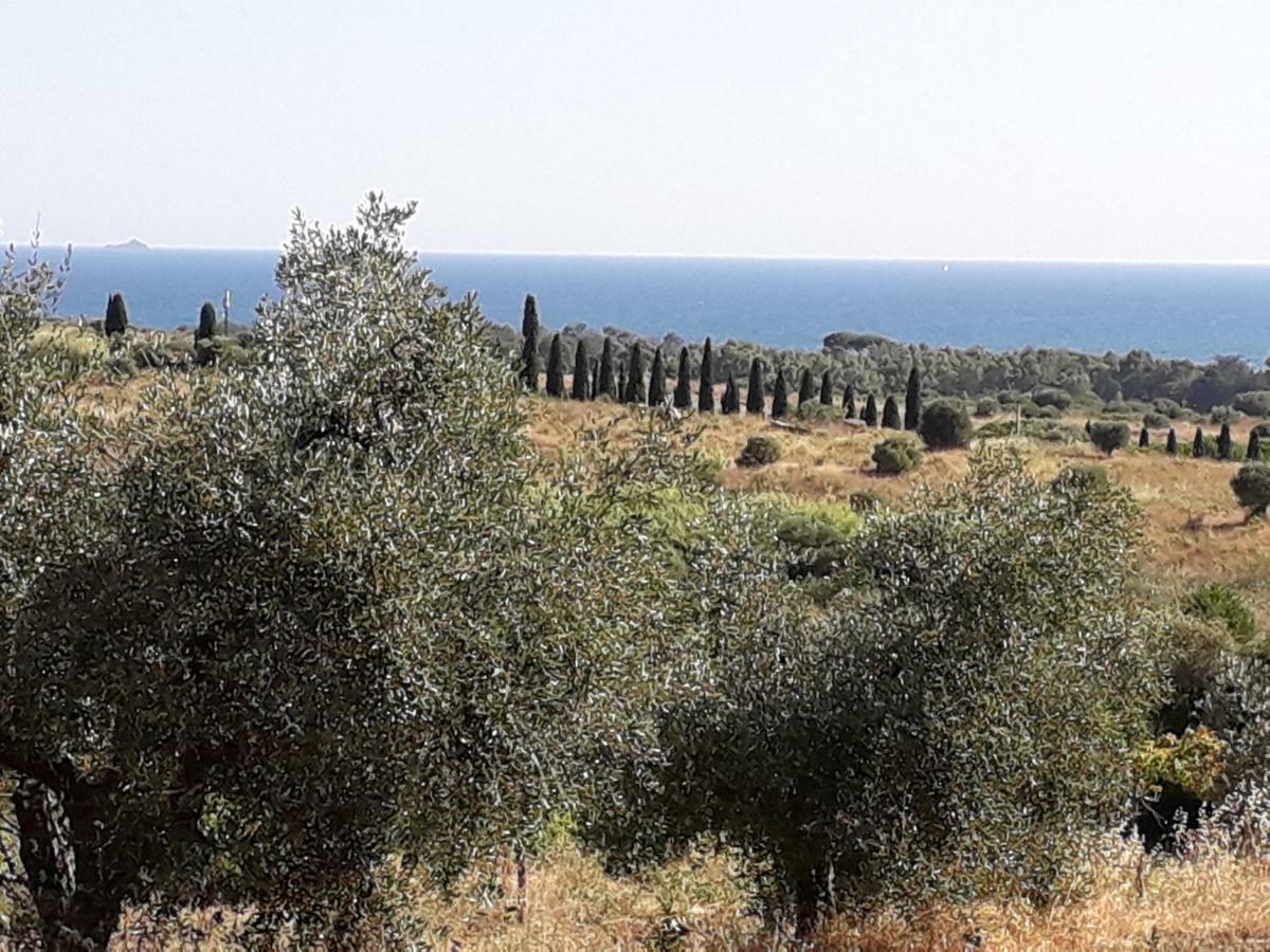 Agriturismo Poggio All'Olivo Follonica Kültér fotó