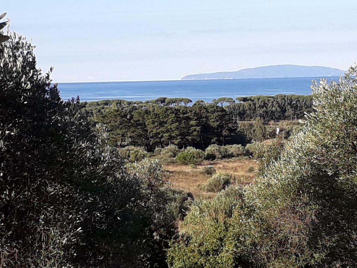 Agriturismo Poggio All'Olivo Follonica Kültér fotó
